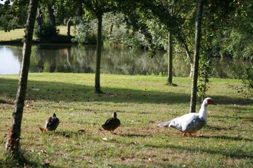 La Coulombe Manoir de H�rouville