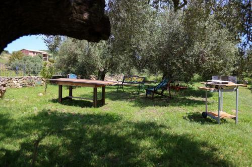 Agroturismo B&B Nuraximannu