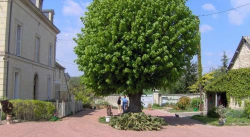 Les Attelages Et Les Logis De Cuzay