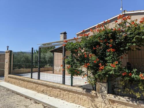 Casa Mequinenza