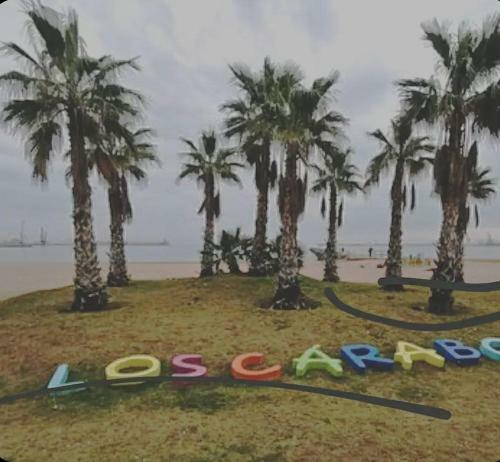 Apartamento El Mirador de La Playa