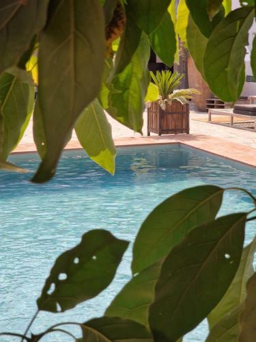 Bed & Breakfast El Violin Experiencia Adults Only
