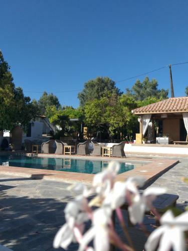 Bed & Breakfast El Violin Experiencia Adults Only