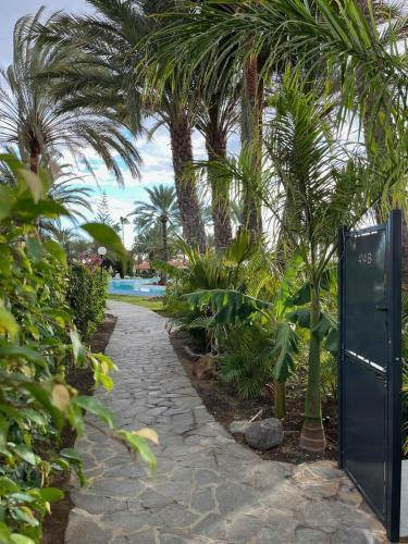 Sun Club Luxus Bungalow Projecto 65