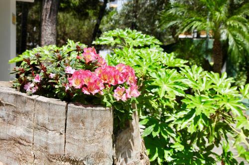 Top Apartment In Los Jardines de Las Golondrinas