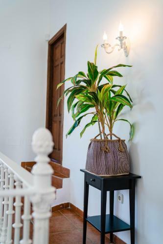 Villa 10 Luxe By Lirios Village Marbella