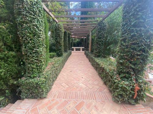 Apartamento Apt Don Gonzalo L