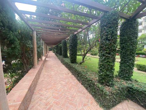 Apartamento Apt Don Gonzalo L