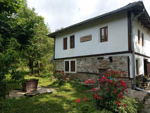 Hostal Vitanova Guest House