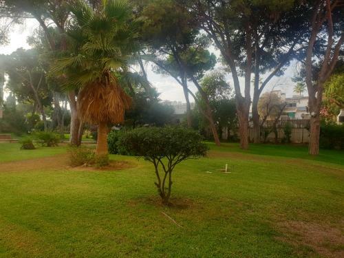 Apartamento Precioso Estudio Con Piscina A 200m Del Mar