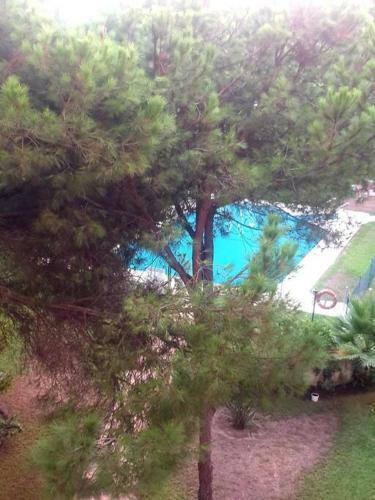 Apartamento Precioso Estudio Con Piscina A 200m Del Mar