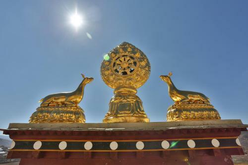 Hotel Banyan Tree Ringha