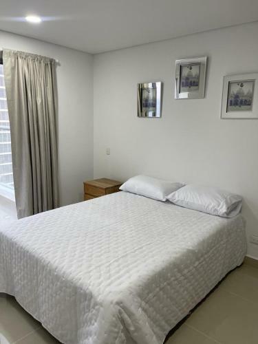 Magno Loft Apartamentos Vacacionales