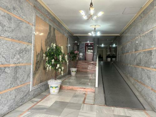 Homely Apartments Moriones