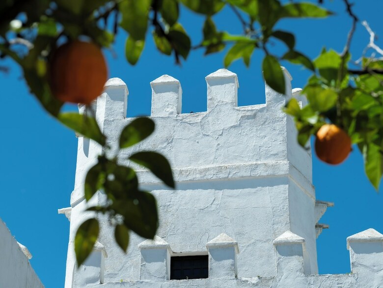Hotel Cortijo Torre de La Reina