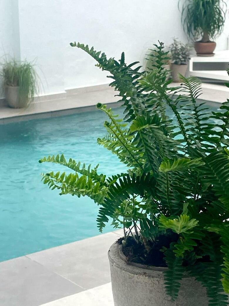 Hotel Boutique Maram - Adults Only