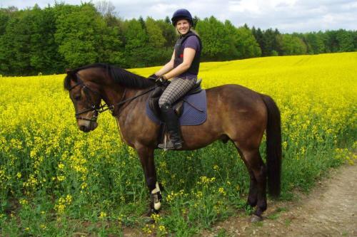 Agroturismo Ponyhof Naeve Am Wittensee