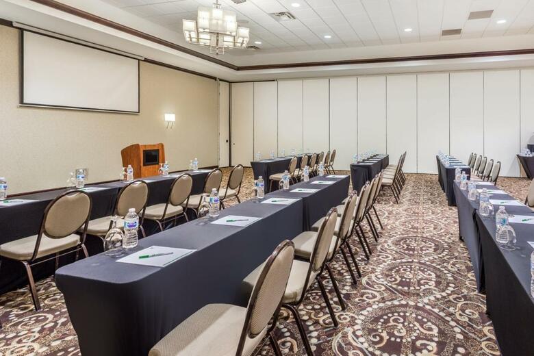 Hotel Holiday Inn Gurnee Convention Center