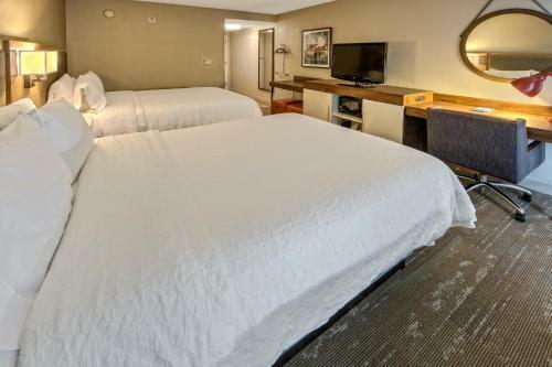 Hotel Hampton Inn & Suites Fort Myers Estero