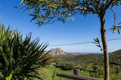 Hotel Relais De Saleccia