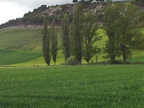 Agroturismo Centro San Pelayo