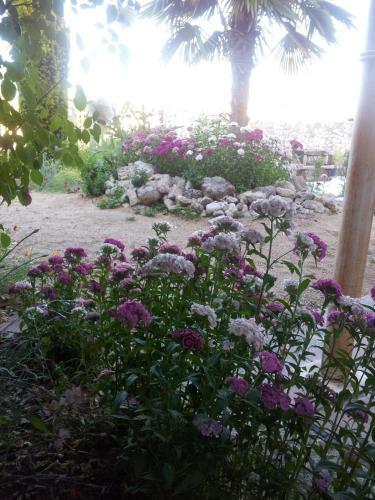 Agroturismo Centro San Pelayo