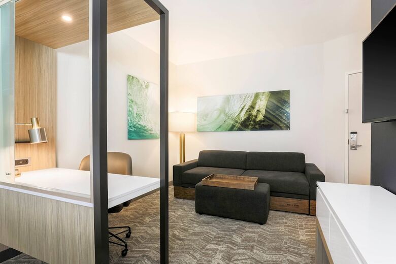 Hotel Springhill Suites By Marriott Tallahassee North