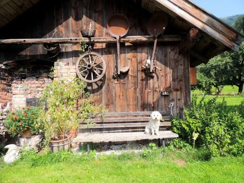 Agroturismo Pension Forsthof