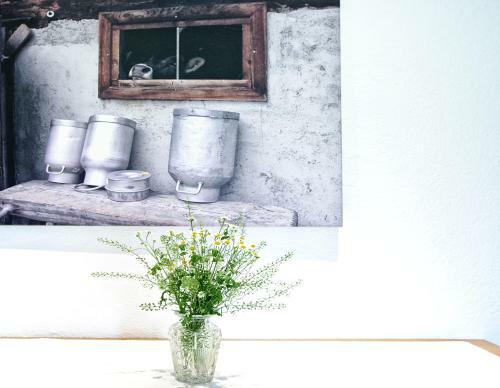 Hostal Gletscher-landhaus Brunnenkogel