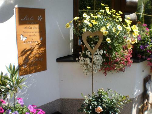 Apartamento Haus Bergfreund