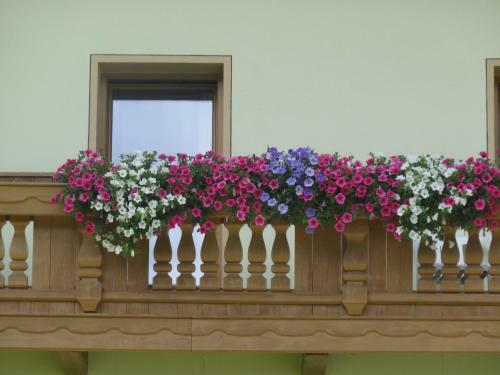 Apartamento K�flerhof Appartements
