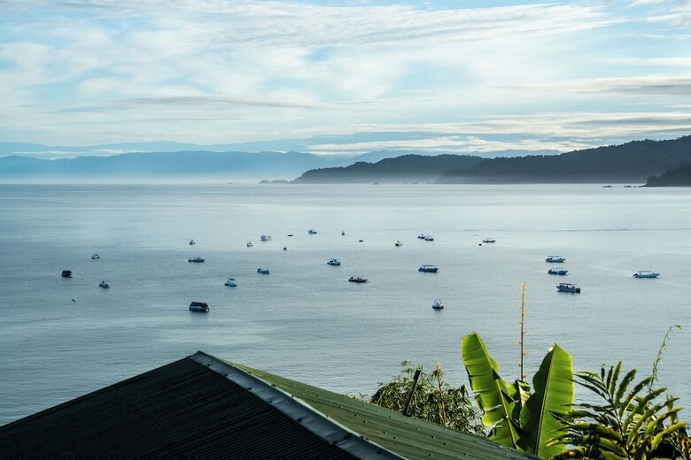 Cotingas Ocean View