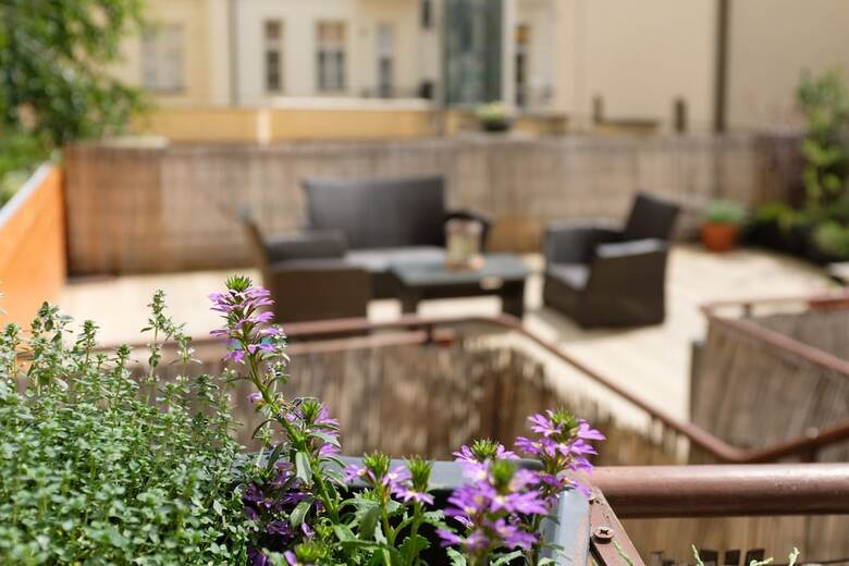 Mordecai Twelve Apartments By Adrez Living