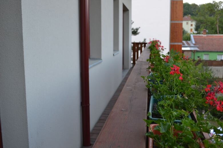 Pension Penzion Levandule