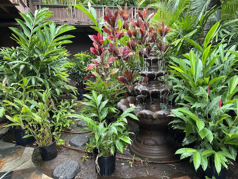 Maui What A Wonderful B&B Pineapple Ste
