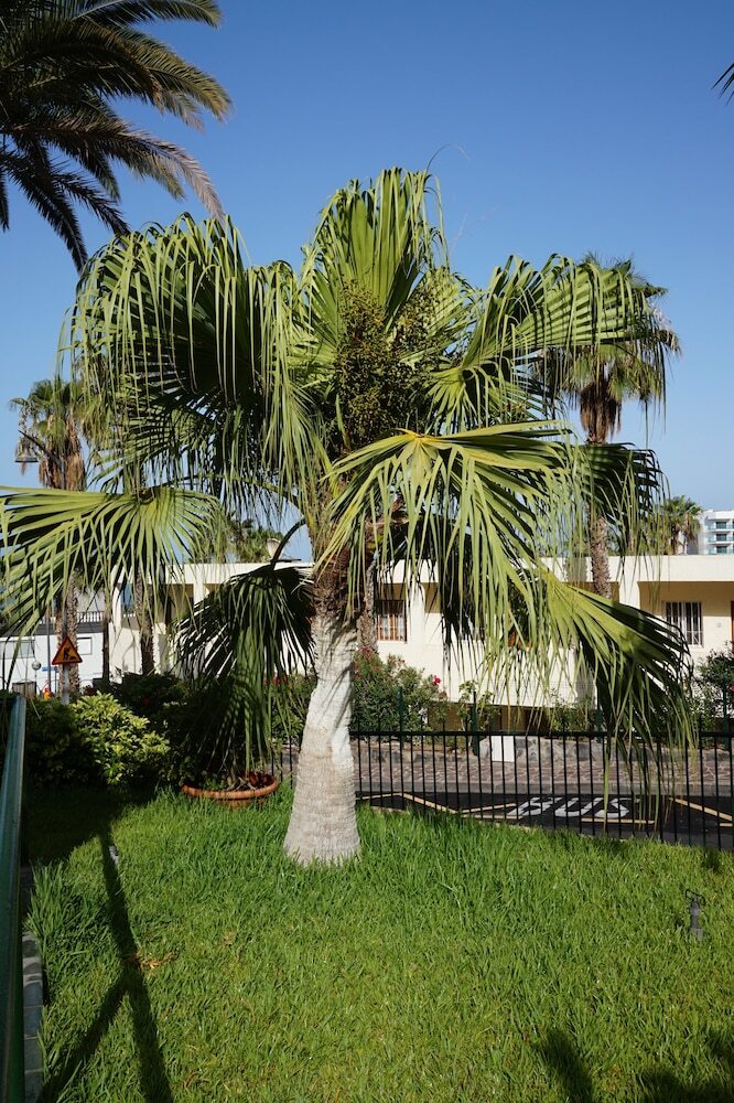 Aparthotel El Sombrero Apartments Los Gigantes