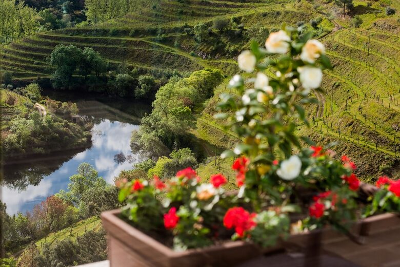 Agroturismo Vila Gale Douro Vineyards Hotel