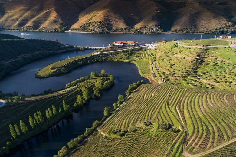 Agroturismo Vila Gale Douro Vineyards Hotel