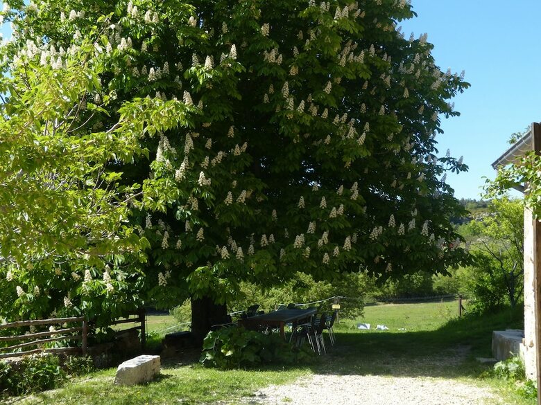 Bed & Breakfast La Ferme Du Petit Segries