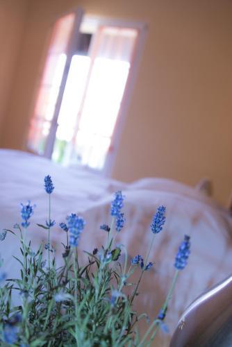 Apartamento Ferme Typique Alsacienne