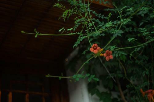 Xiao Yuaner Bed And Breakfast