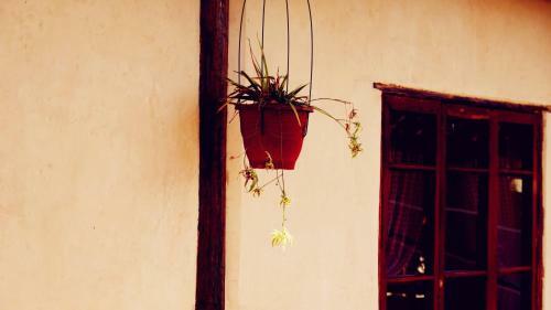 Hostal Shaxi Miss May Hotel