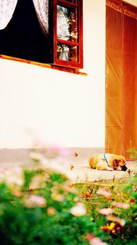 Hostal Shaxi Miss May Hotel