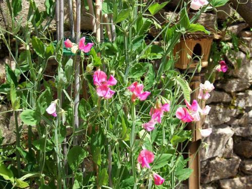 Bed & Breakfast Domaine De Lasfonds