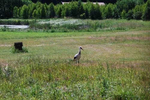 Agropensjonat Hermanowa Wola