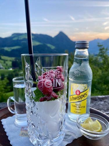 Posada Hotel & Alpengasthof Pinzgerhof