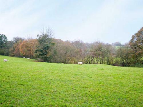 Hen Hafod