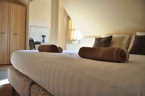 B&B Latemberg
