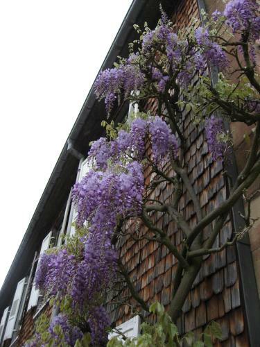 Hotel H�tel-r�sidence La Rubanerie