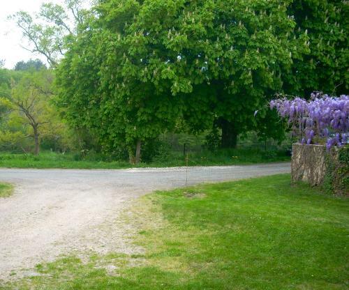 Bed & Breakfast Sous Les Marronniers